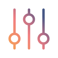 Identify the strategic levers